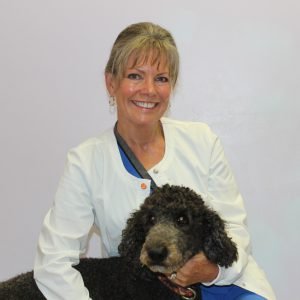 Animal Doctor Blue Hills Veterinarians  Dr. Deam
