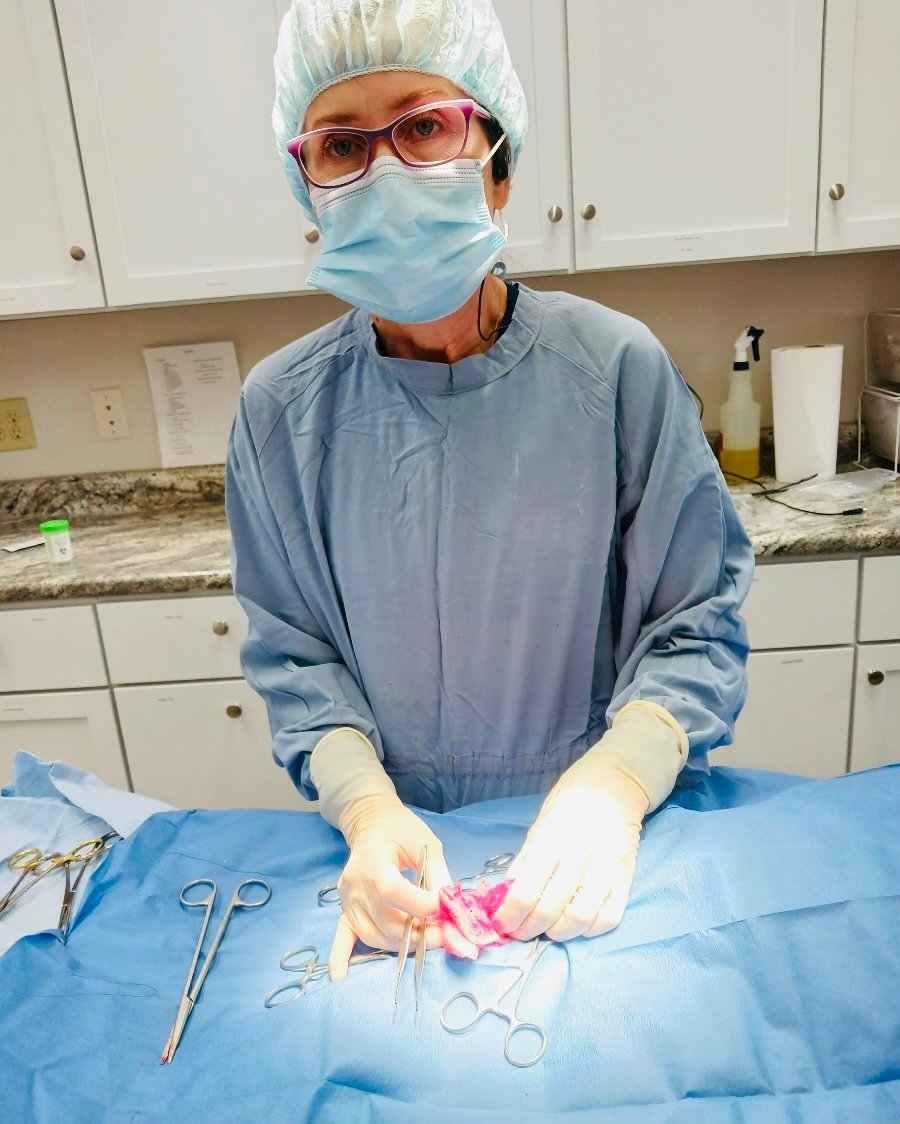 Animal Doctor Dr. Jennifer Arneson