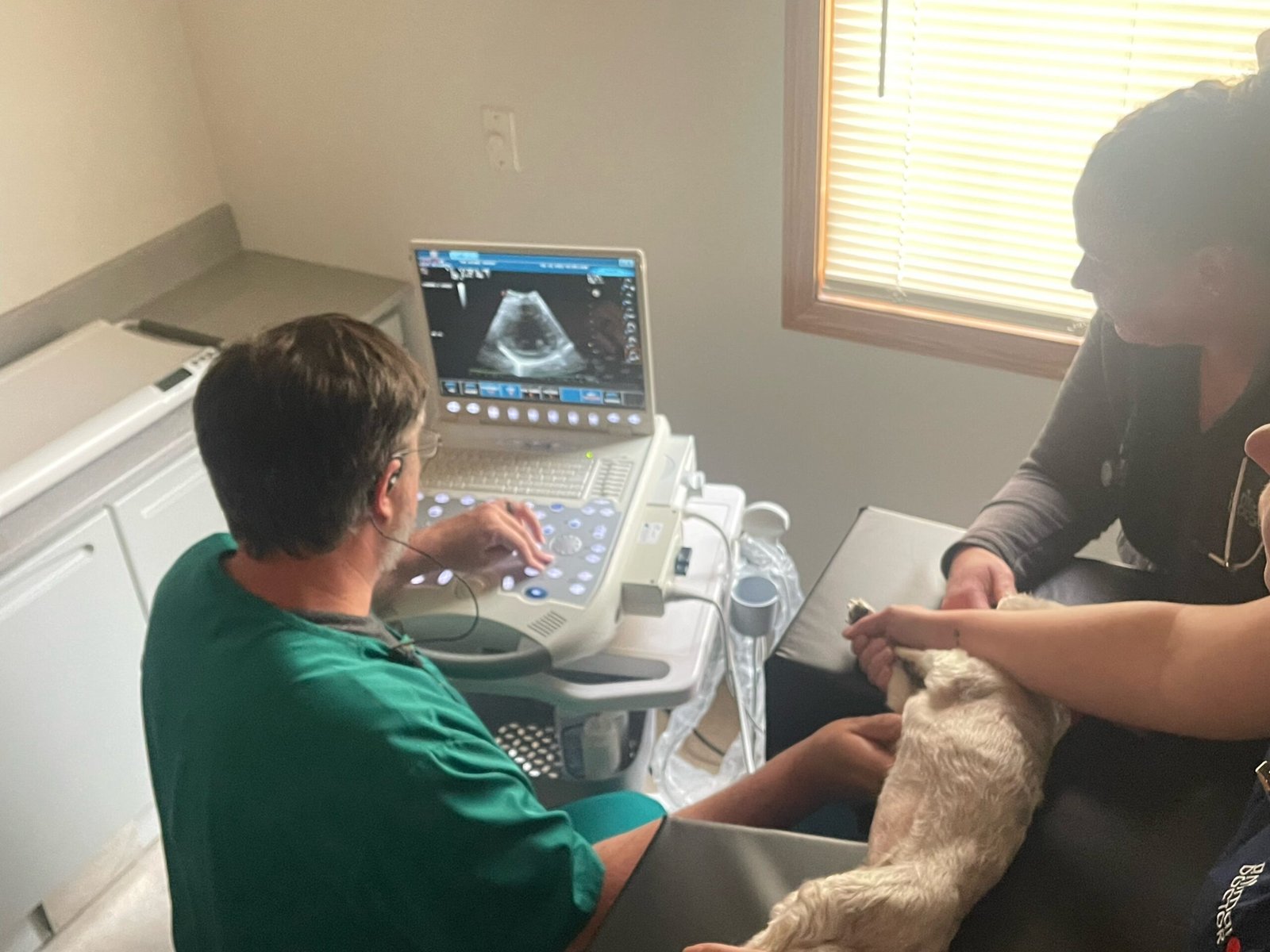 Animal Doctor Cardiology